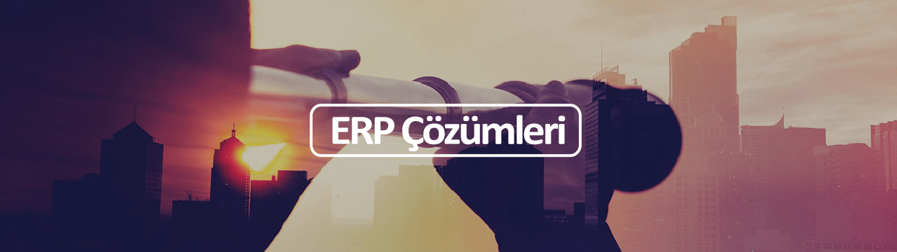 Erp Çözümleri